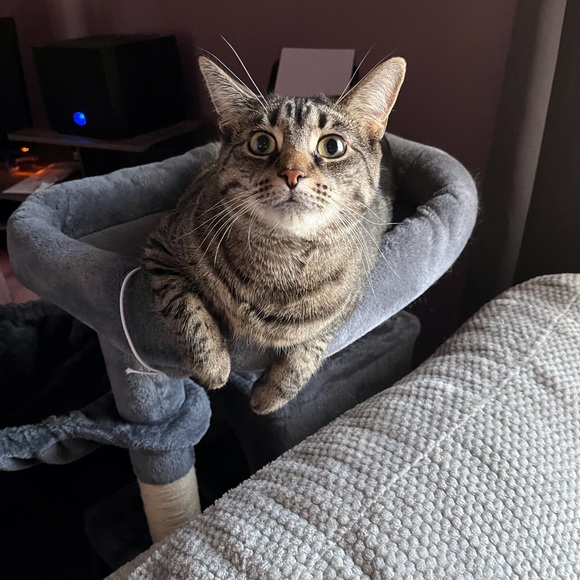 Meet your Posher, Barbara - Picture 2 of 16